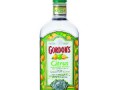 Gordon's Citrus Vodka（ゴードン シトラス ウォッカ）